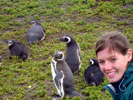 Tierra del Fuego, Patagonia: at a penguin nesting site. Tierra del Fuego, Patagonia: at a penguin nesting site.