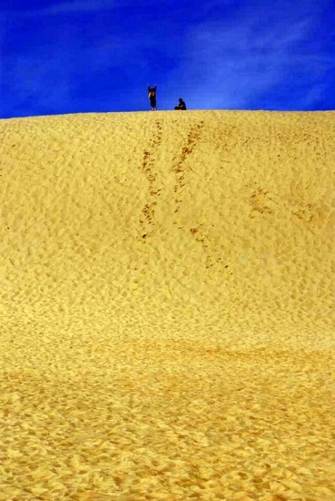 Jockey's Ridge State Park in the Outer Banks, NC.