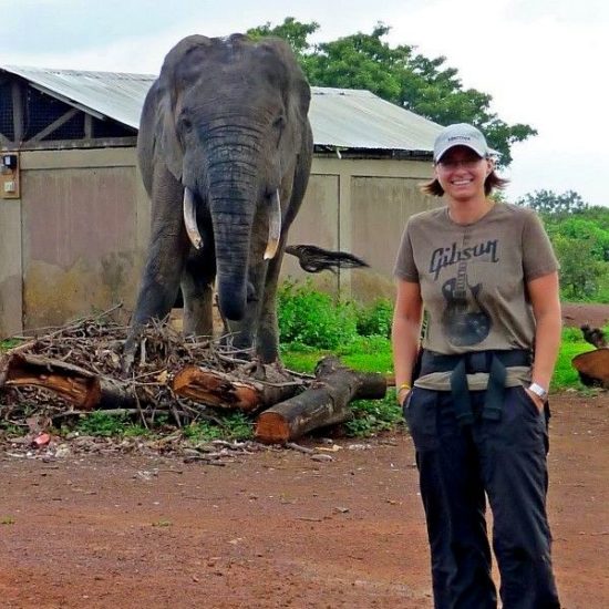 Kim and an elephant at Mole National Park! Kim and an elephant at Mole National Park!