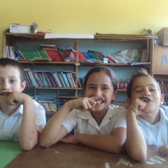 Erin: Living in Costa Rica as a WorldTeach Volunteer Teacher