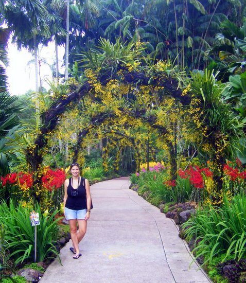 With the beautiful flowers of Singapore's Botanical Garden. With the beautiful flowers of Singapore's Botanical Garden.