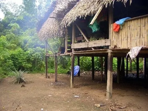 A house deep in Ecuador's jungle