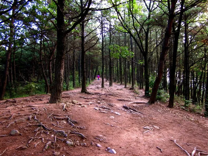 One of the lovely hill hikes near Natalie.