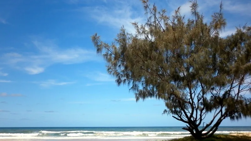 These photos are making me jealous...