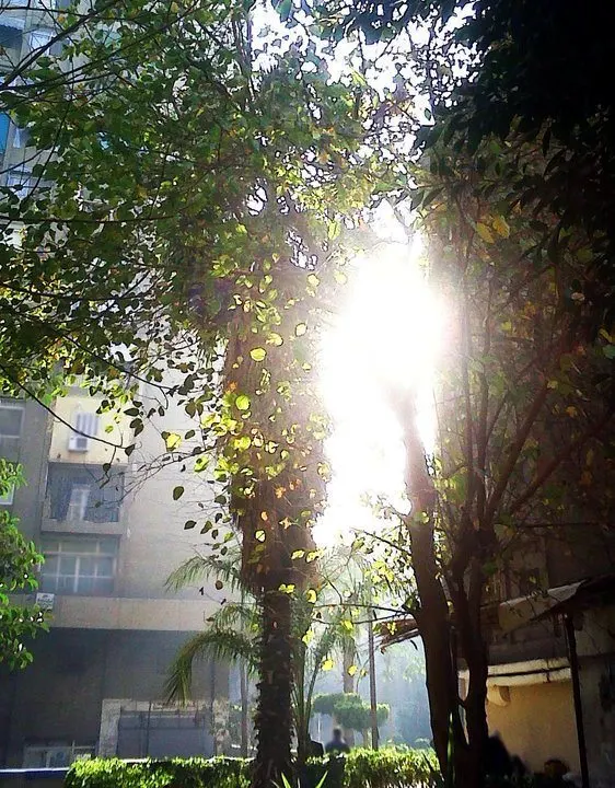 The hotel in Egypt where ShiSha is living.