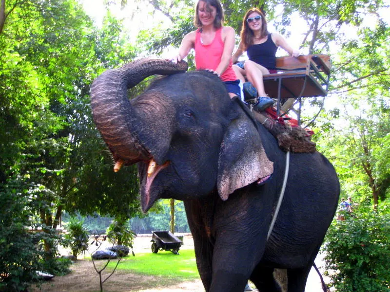 On a (real, live!) elephant in Thailand.