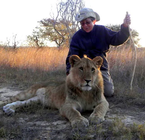 Peggy and a baby lion in Antelope Park in Zimbabwe.