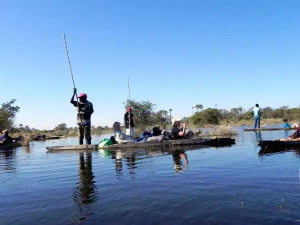 A makoro, traditional dugout canoe, in Okavango Delta, Botswana.