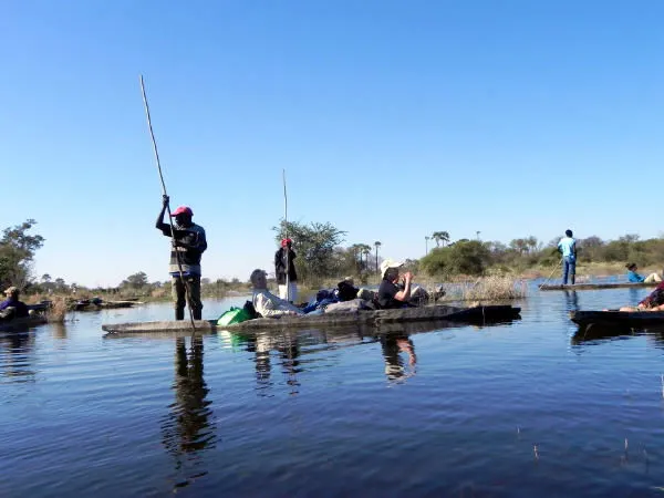 A makoro, traditional dugout canoe, in Okavango Delta, Botswana.