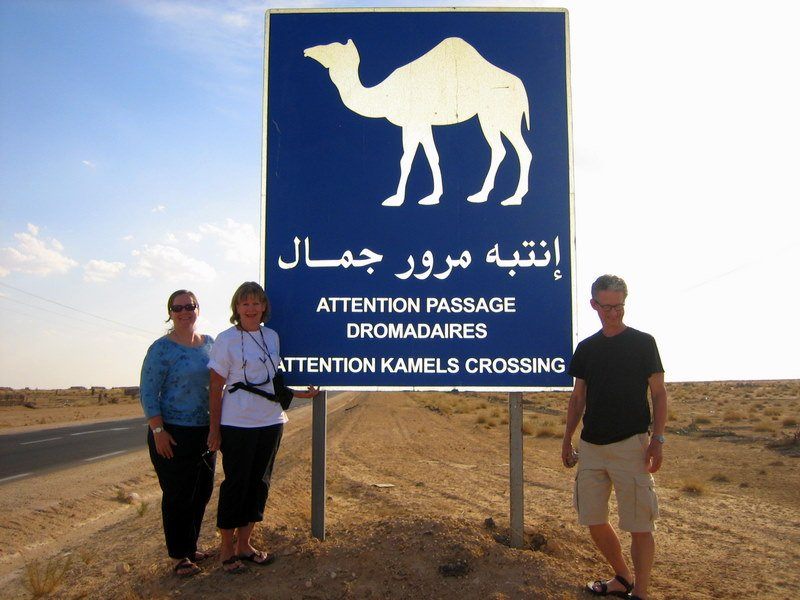 Traveling U.S. Teachers, and a camel crossing in Tunisia!
