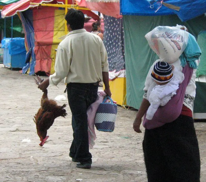 Francis conquered the Continental Divide Trail as this man in Mexico conquered that chicken!