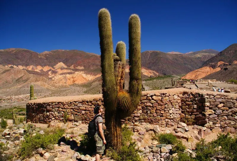 Encountering a prickly situation during nomadic world travel.