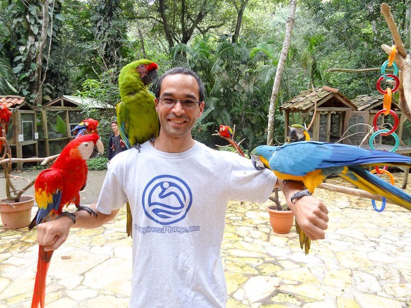 Macaw Mountain Bird Park in Honduras.