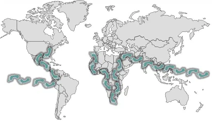 The Happy Nomad Tour Route.