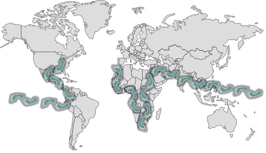 The Happy Nomad Tour Route.