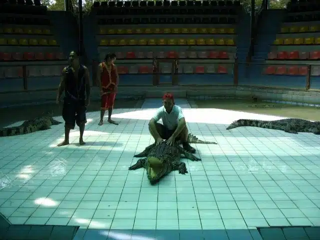 Posing with a crocodile during his travels. Dramatic photo!