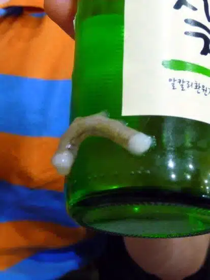An octopus tentacle in Korea. YIKES!