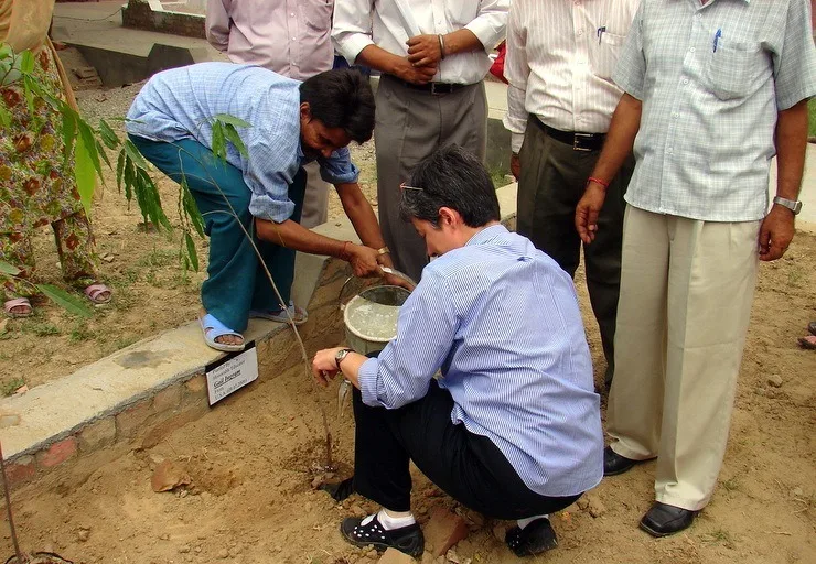 Gail planting her tree as an "Honorable Educator" from America.