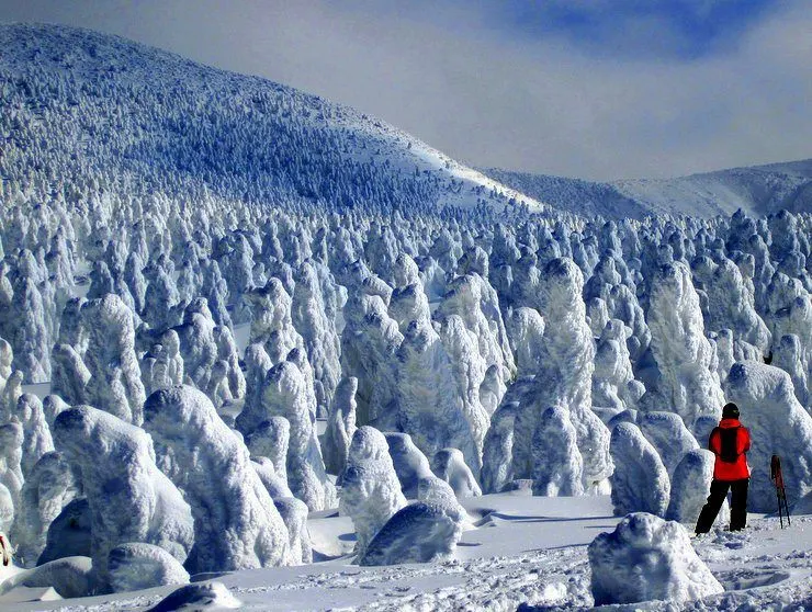 At Zao Onsen ski resort in Japan. Those are trees caked in snow!