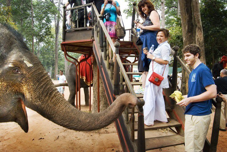 Feeding and Riding the Elephants at Angkor Wat, Cambodia.