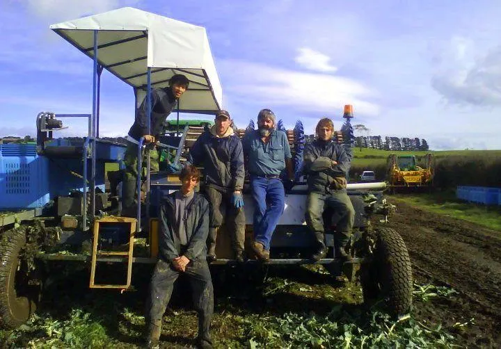 Jonny working on a broccoli farm in Tasmania.