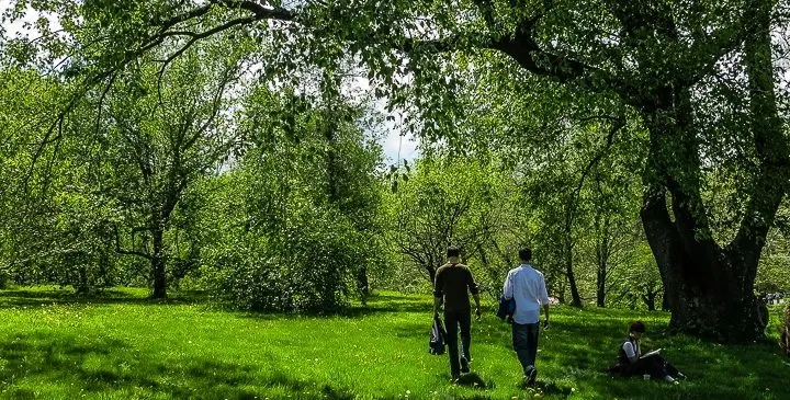 What can teachers grow for education by forming a Teacher PR Corps?