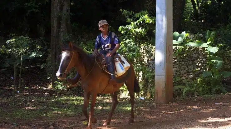 Boy out for a ride in the countryside, Dominican Republic.