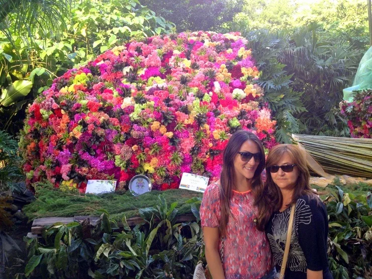 English teacher Colombia