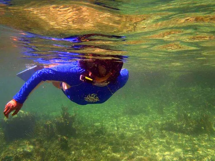 Snorkeling: One of Clarissa's favorite pastimes in The Bahamas.
