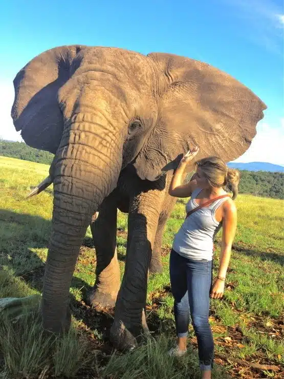 Spending time at the Elephant Sanctuary in Knysna.