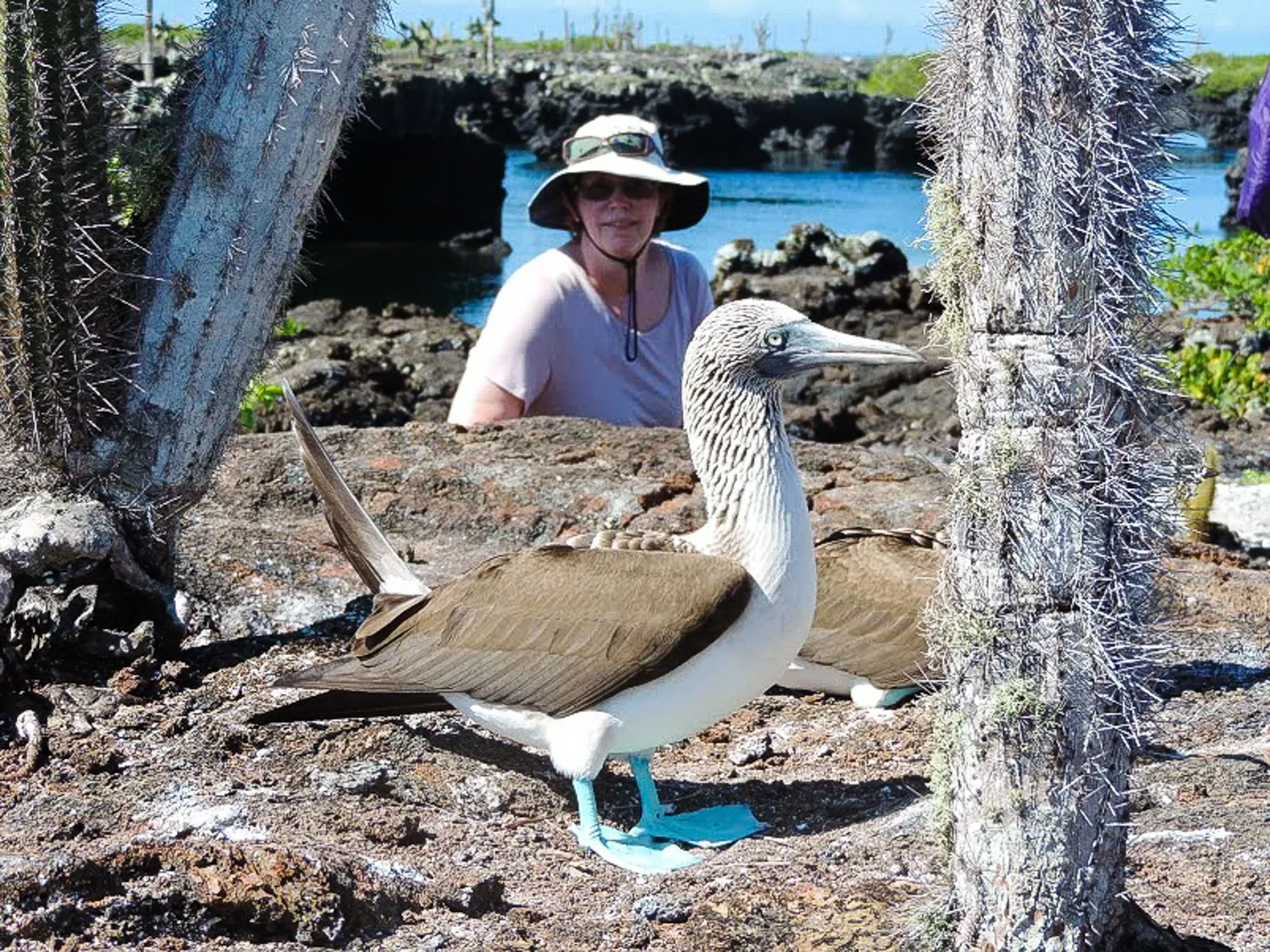 Sally in the Galapagos Islands.