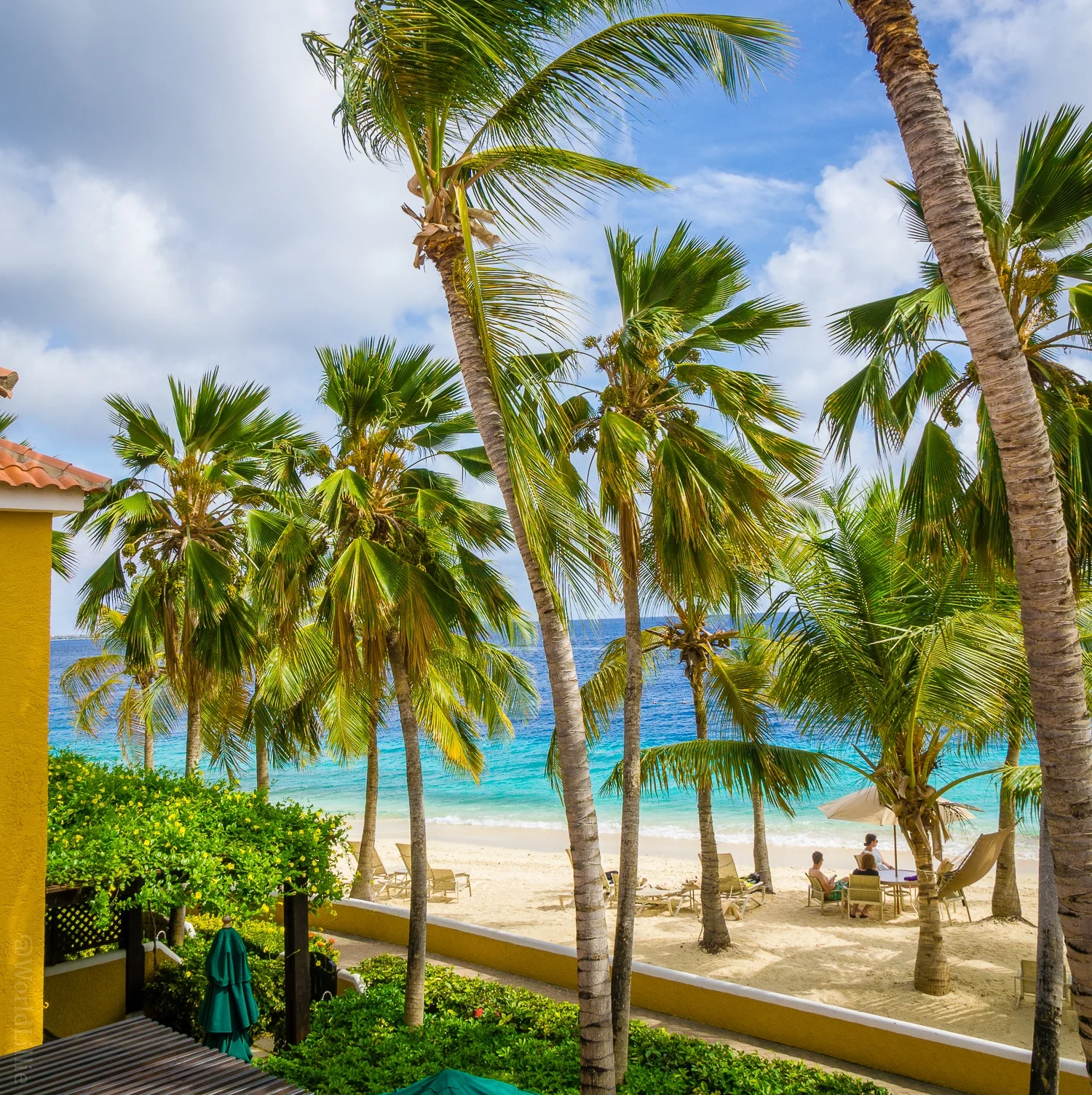 What grew this year?