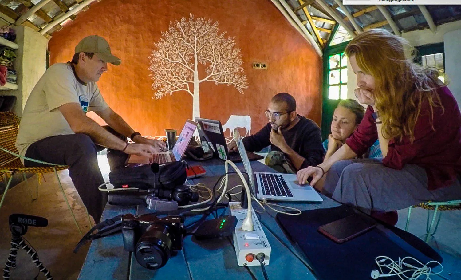 Dorene and Troy Experteering with Peepal farm in India to create a self-sustaining animal hospital.