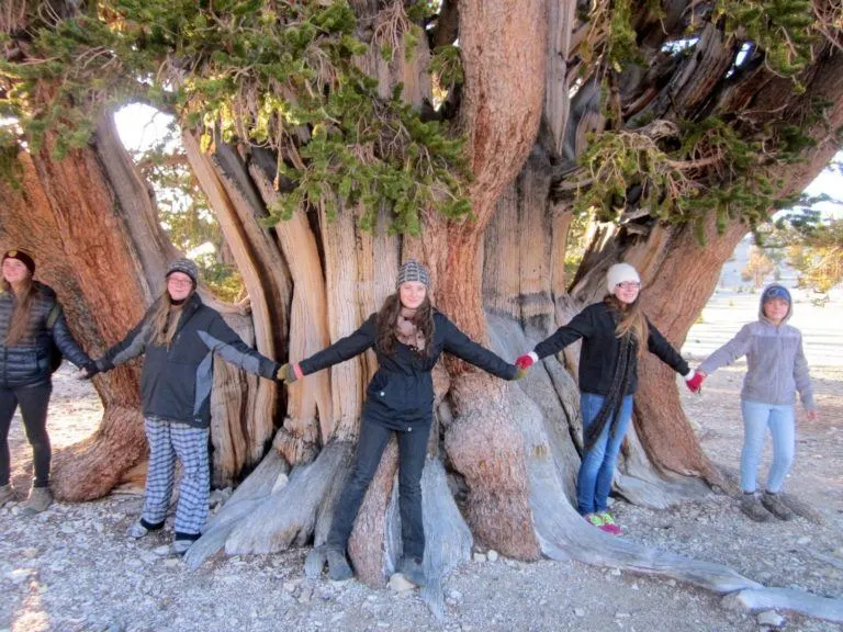 How a Passion Project Can Pay Off for a Teacher or Travel Lover!