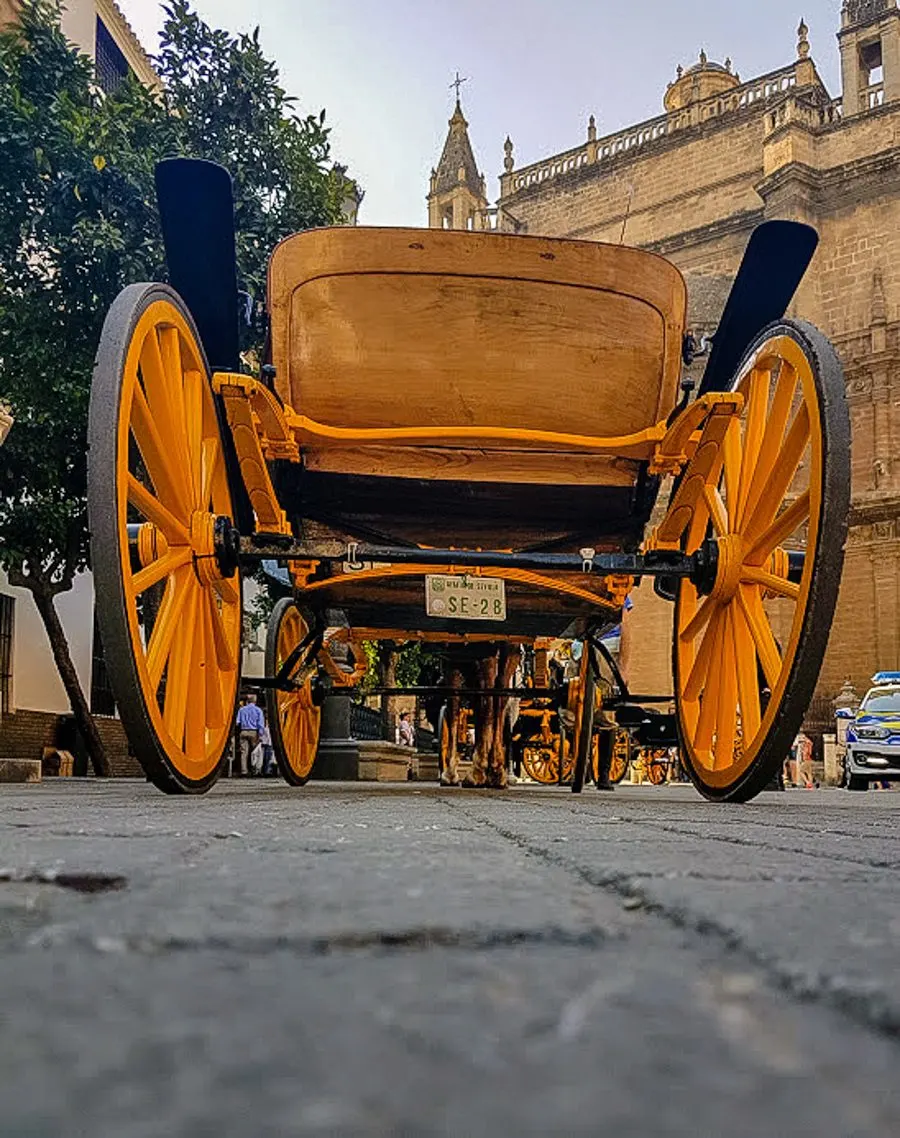 Where will YOUR wheels take you?