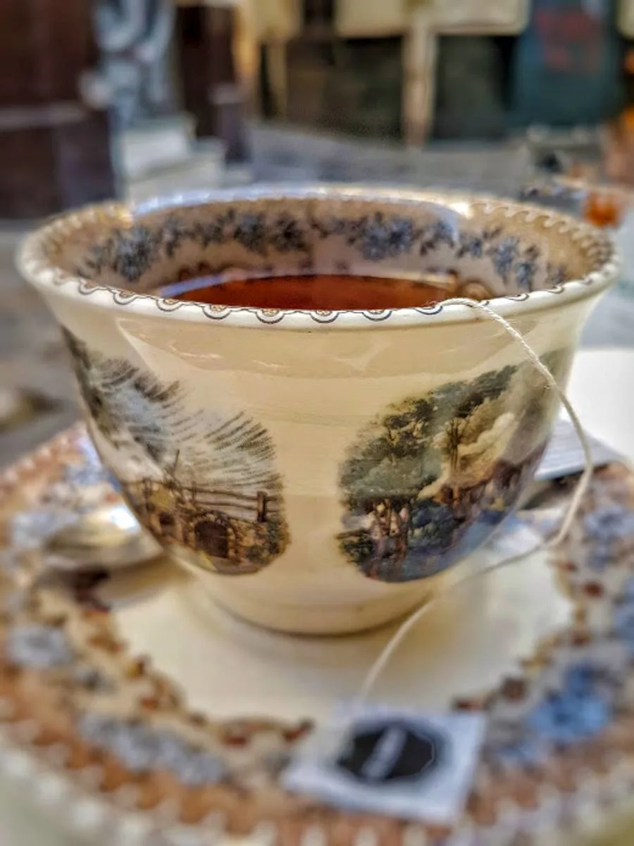 What kind of travel is YOUR cup of tea?