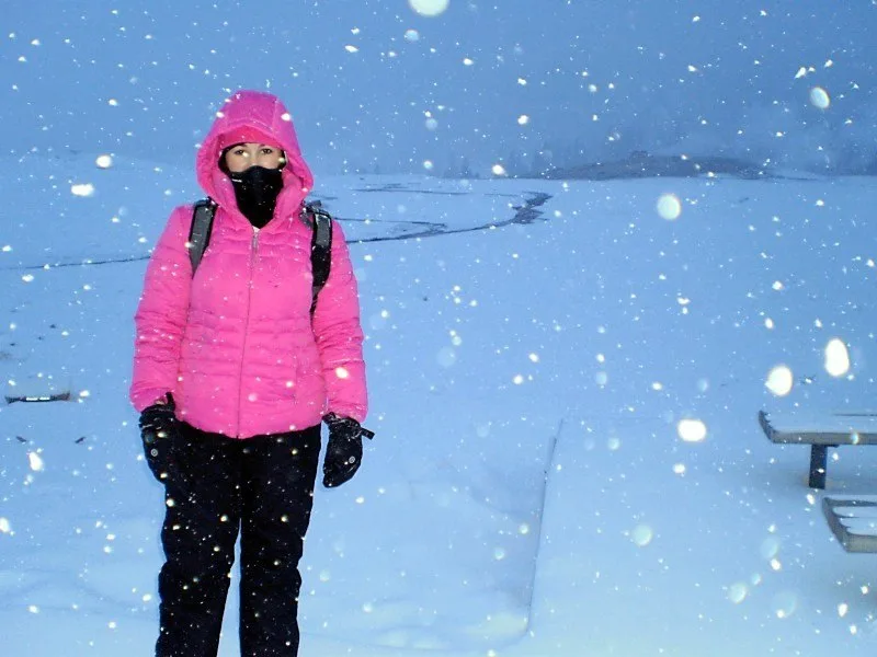 Yellowstone in Winter with the NC Museum of Natural Sciences.