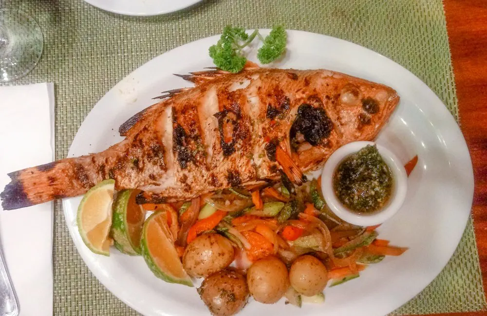 Travel in groups for educational tours can be fun, easy, and responsible tourism for teachers, students, or anyone, shown by this Costa Rica GAdventures trip!