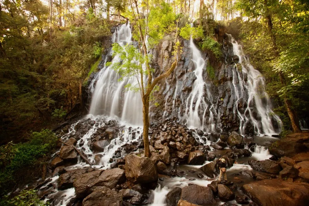 Mexico has beauty beyond the butterflies, like this waterfall.