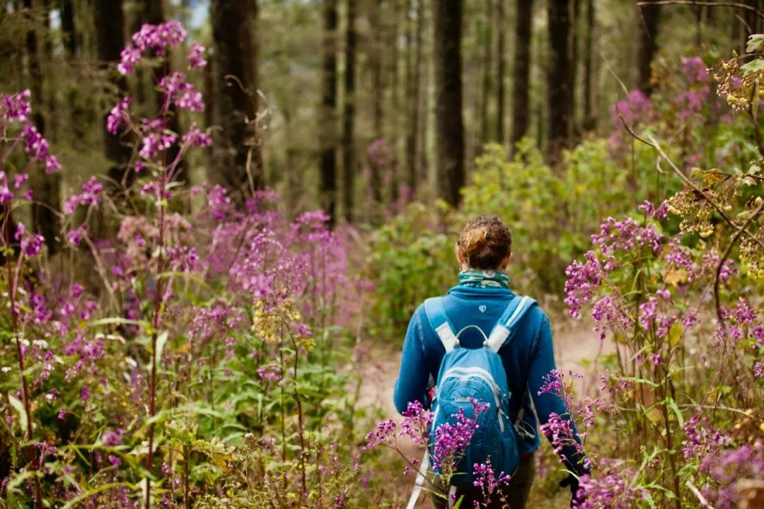 Walking through flowers in butterfly territory in Mexico.