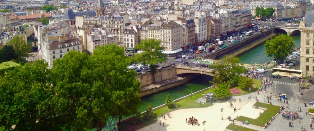 A view of Paris from Notre Dame Cathedral.
