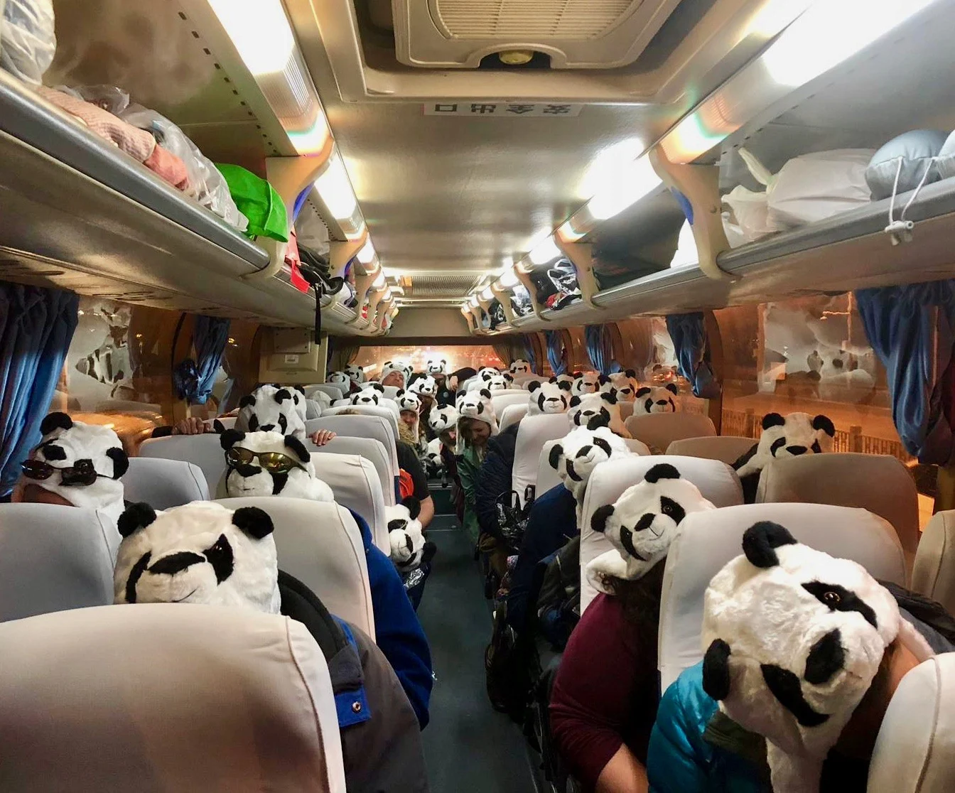 Dressed like pandas on the bus in Beijing, warming up for karaoke.