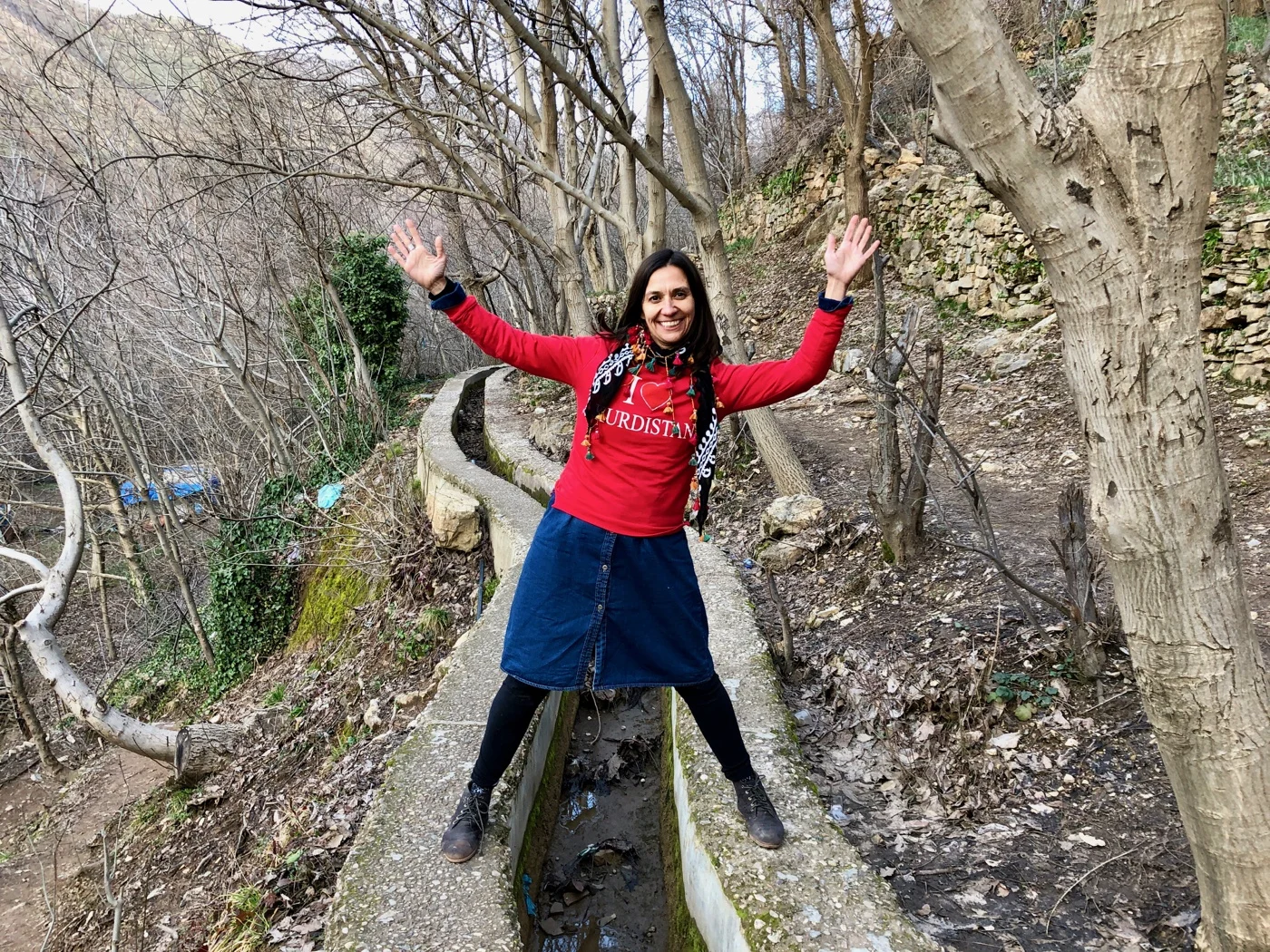 Mental health abroad: Iraq and Iran