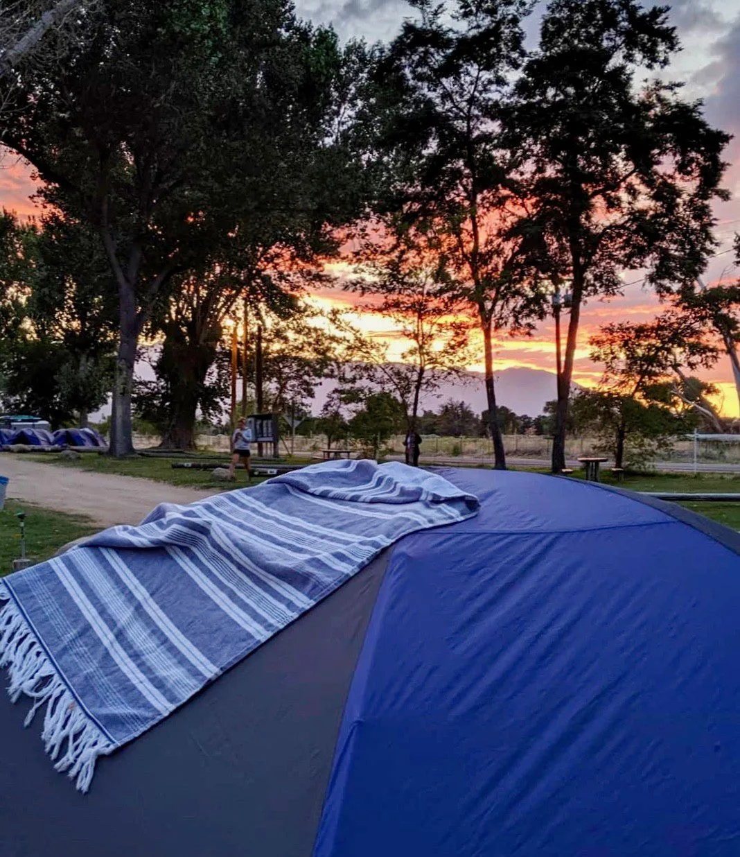 Steph's tent and a sunset through the trees in Bishop, CA.
