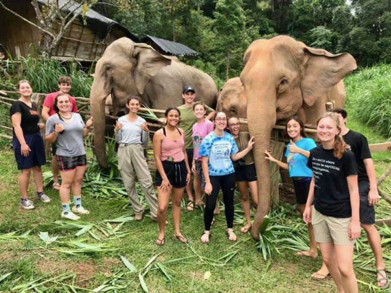 Helping elephants in Thailand.
