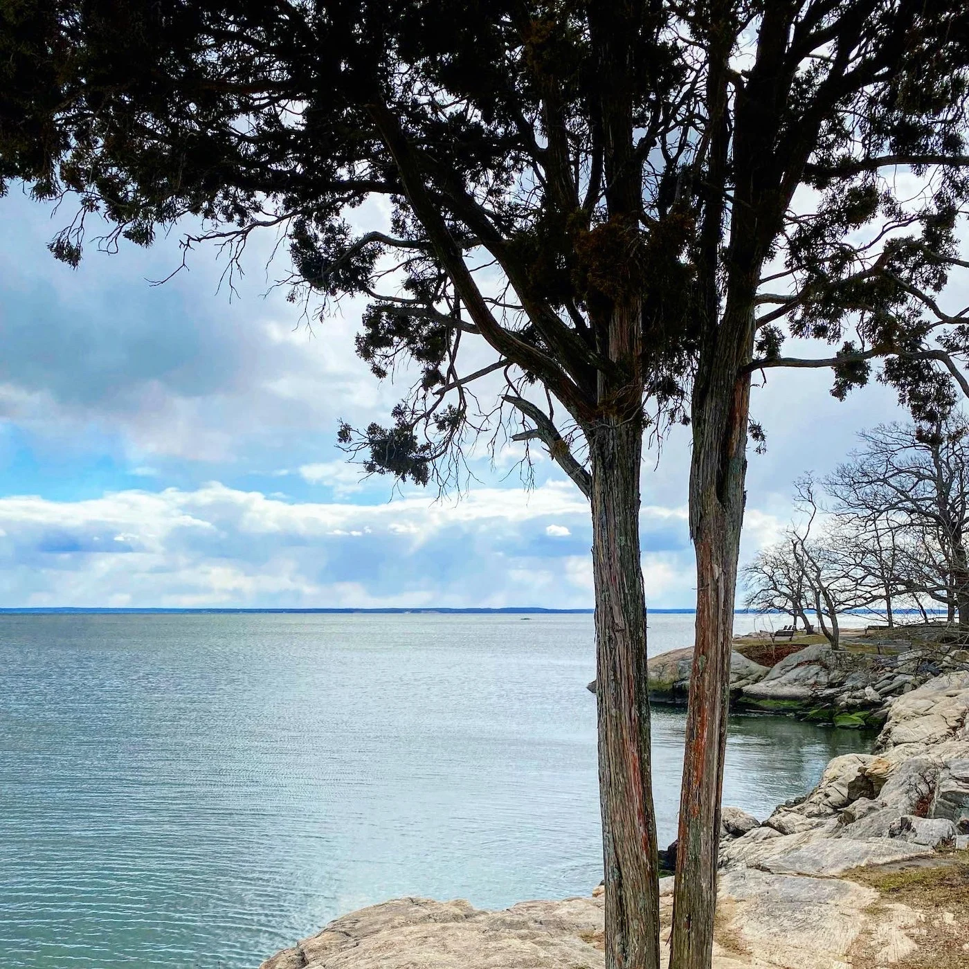 2 Online Distance Learning Projects and Assignments for grade 6-12 ELA