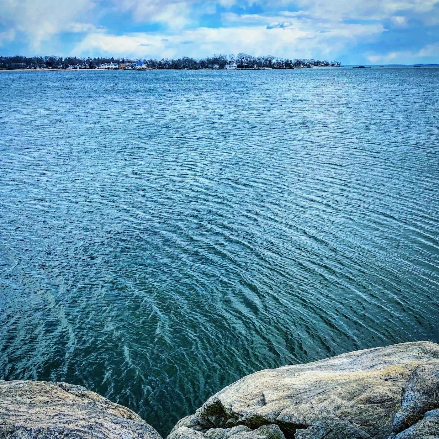 2 Online Distance Learning Projects and Assignments for grade 6-12 ELA