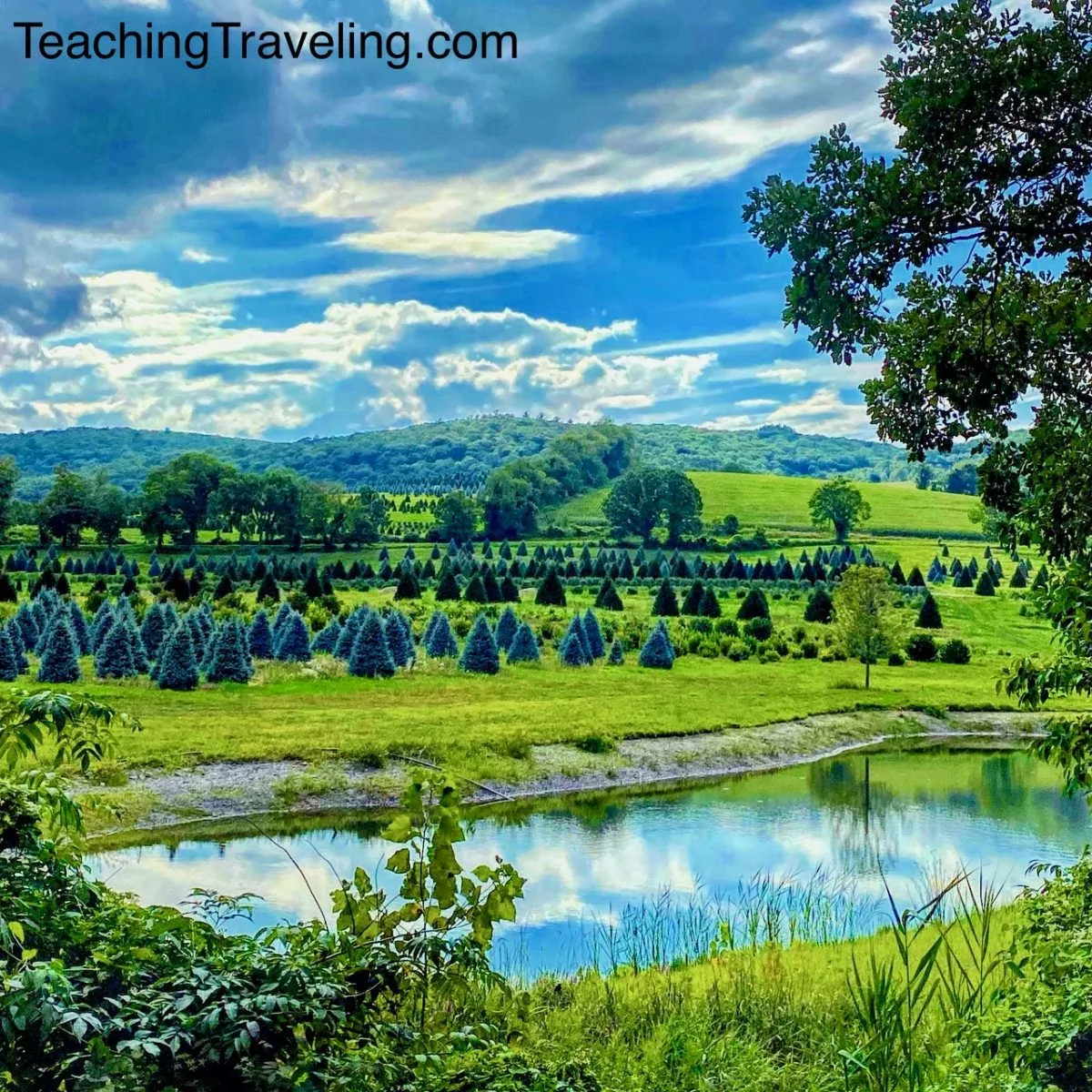 Landscape photo of Hillsdale, NY