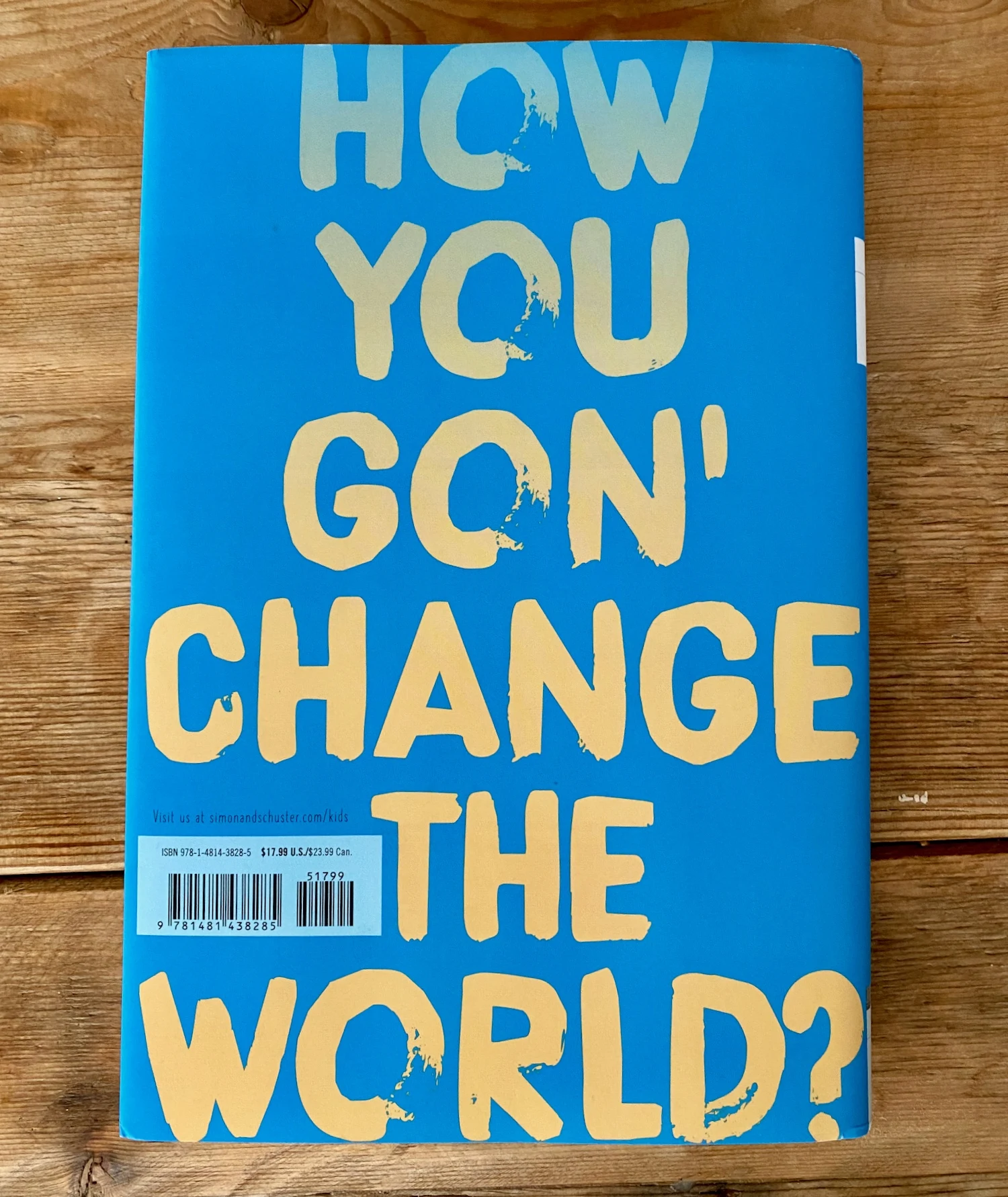 The back cover of Look Both Ways: "How you gon' change the world?"