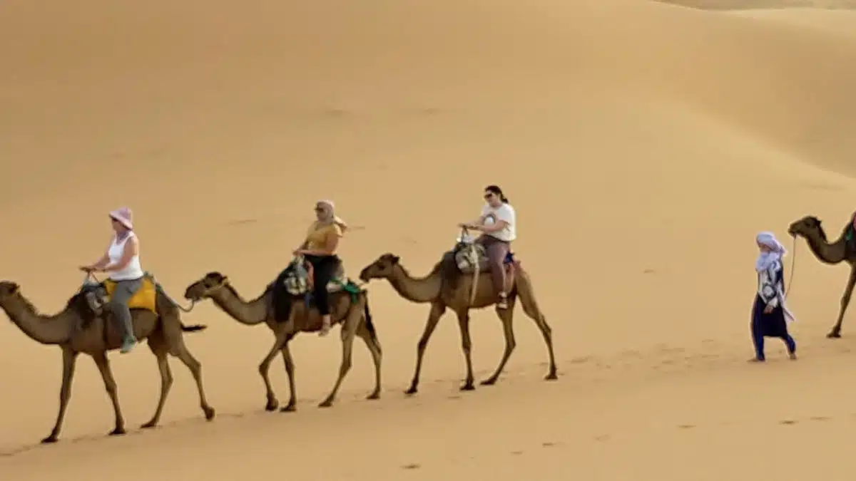 Riding a camel in the Sahara desert (Gina is the one wearing the purple pants, at the end of the line of three camels before the start of the next one).